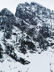 snow-covered mountain and trees during daytime thumbnail