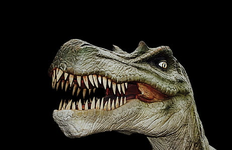 T-Rex poster thumbnail