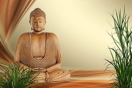 Buddha statue near green leafed plants thumbnail
