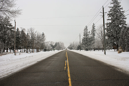 road between trees thumbnail