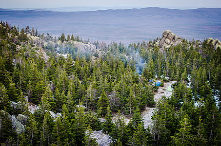 aerial photo of forest thumbnail