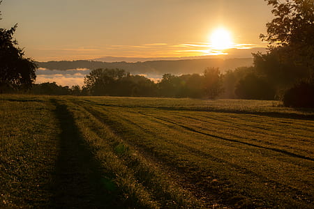green field thumbnail