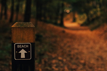 selective focus photography of wooden Beach signage thumbnail
