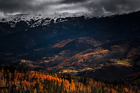 snow-capped mountain surrounded forest thumbnail