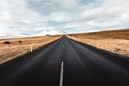 straight road towards snowy mountain thumbnail