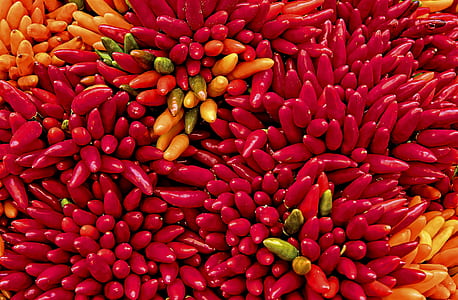 red plant thumbnail