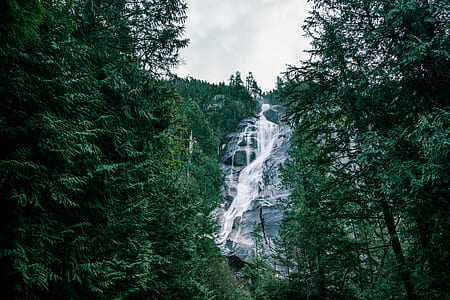 water falls surrounded by trees thumbnail