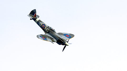 Gray Black and Blue Airplane thumbnail