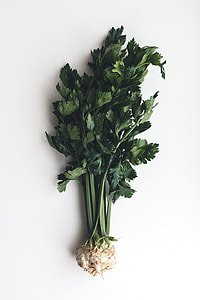 Wonderful healthy celery thumbnail