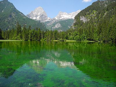 green pine trees planted near lake and mountains thumbnail