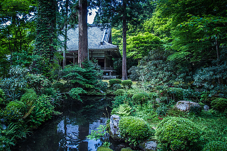 person showing pond thumbnail