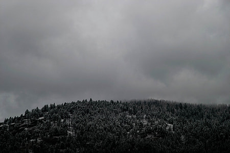 forest mountain under white clouds thumbnail