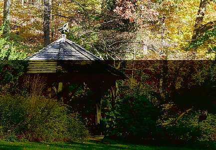A wooden gazebo in a backyard garden. thumbnail