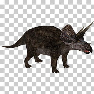 ZOO TYCOON DINOSAUR DIGS SCARICARE