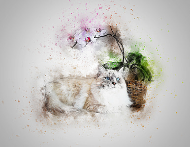 white cat near pink orchids thumbnail