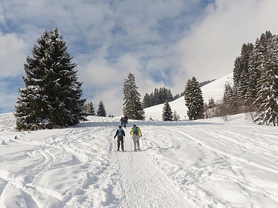 two men standing surrounded by trees under gray sky thumbnail