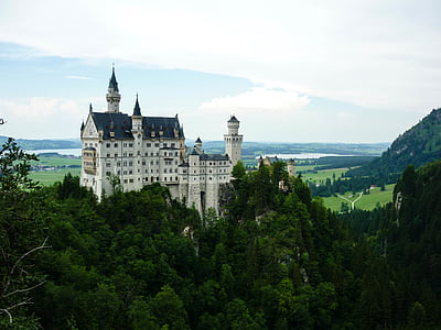 white and blue castle surrounded with green leafed tree at daytime thumbnail