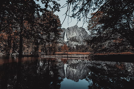 photo of body of water with trees and rocks thumbnail
