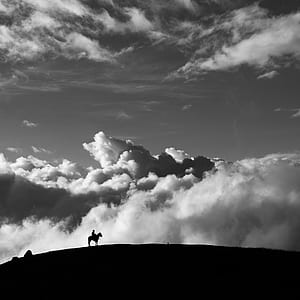 silhouette of man riding hors e thumbnail