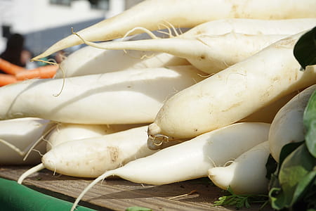 selective focus photo of radish thumbnail