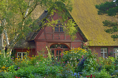 house surrounded by green trees and plants thumbnail