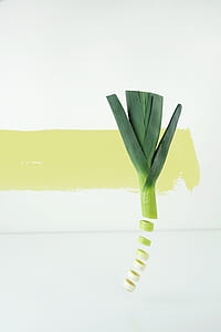 photo of sliced Scallion thumbnail