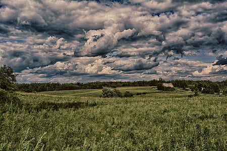 green field thumbnail
