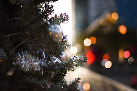 green Christmas tree with gray bauble in focus photography thumbnail