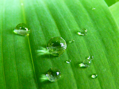 close up photograph of water droplet thumbnail