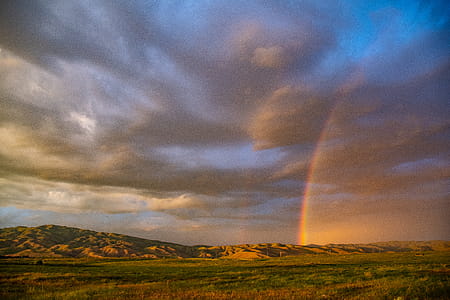 Green Grass Field during Sunset thumbnail