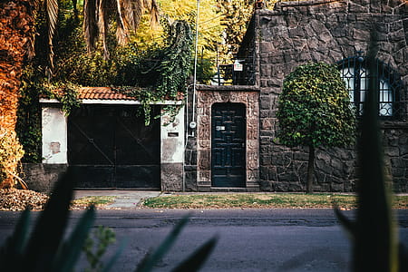 Exterior of tropical house surrounded by tropical palms and foliage thumbnail