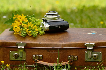 black and gray camera near yellow petaled flower on brown briefcase thumbnail