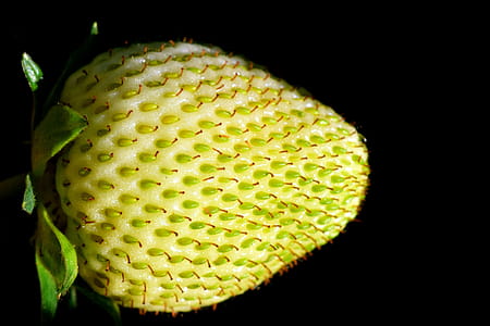 White and Green Strawberry Frut thumbnail