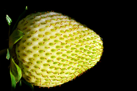 yellow and green strawberry isolated on black background thumbnail