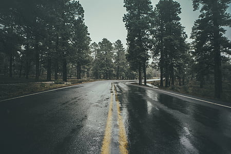black concrete road during daytime thumbnail