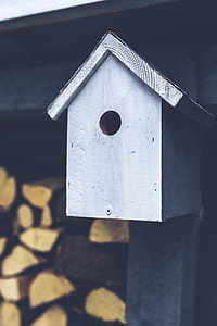 Gray birdhouse thumbnail