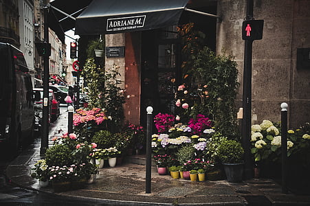 flowers on store front thumbnail