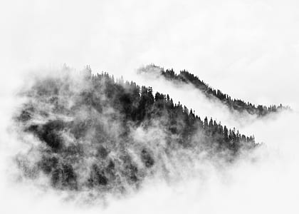 mountain covered with fog thumbnail