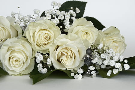 white roses thumbnail