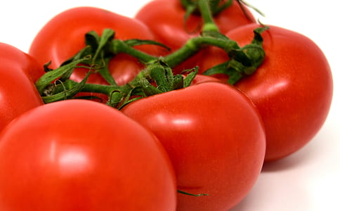 red tomatoes thumbnail