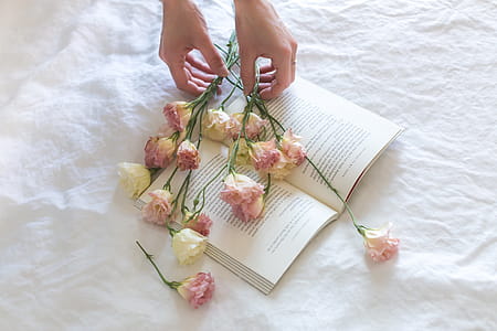 Flowers On A Book Photo thumbnail