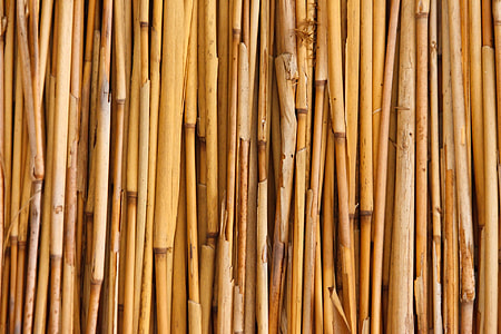 brown bamboo stick lot thumbnail