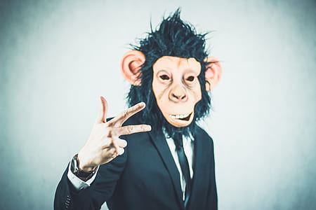 man wearing monkey mask thumbnail