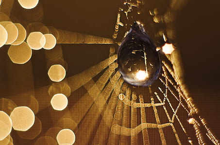 lights, water, blur, dew thumbnail
