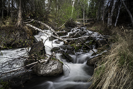 Cascading Rapids through the brook and forest on the Ingraham Trail thumbnail