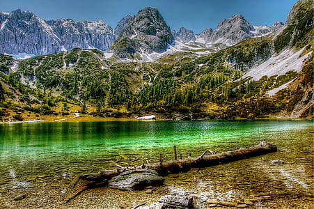 cold, snow, wood, landscape thumbnail