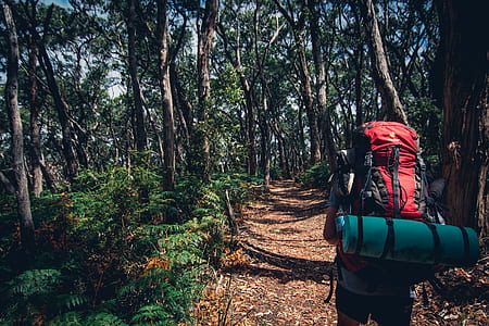 man carrying red and black camping backpack thumbnail