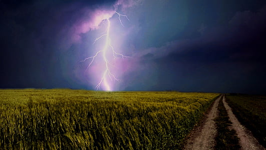 pink cloud with white lightning strike and green grass field thumbnail
