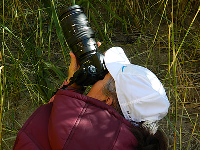 Photo Artist, Photos Of Nature thumbnail