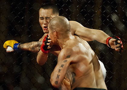 male UFC fighter punched his opponent thumbnail